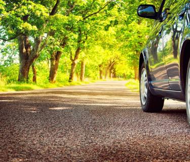 Driving on a country road